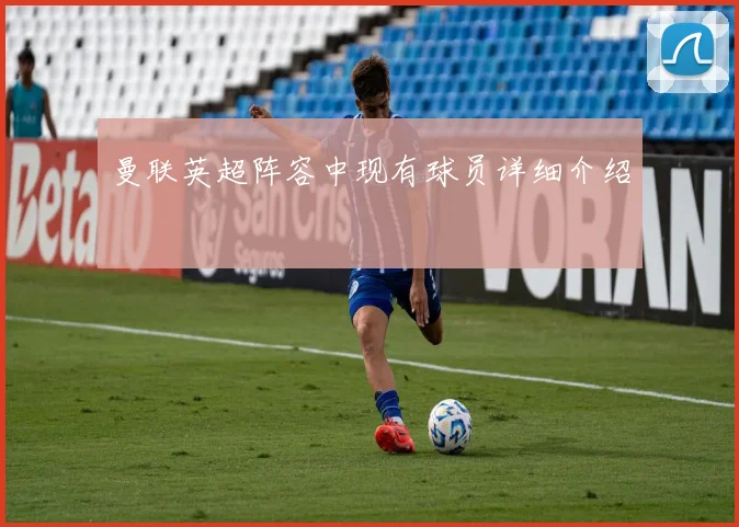 曼联英超阵容中现有球员详细介绍