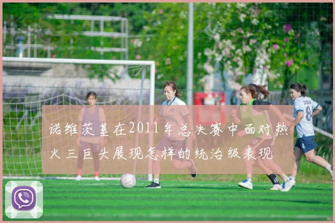 诺维茨基在2011年总决赛中面对热火三巨头展现怎样的统治级表现