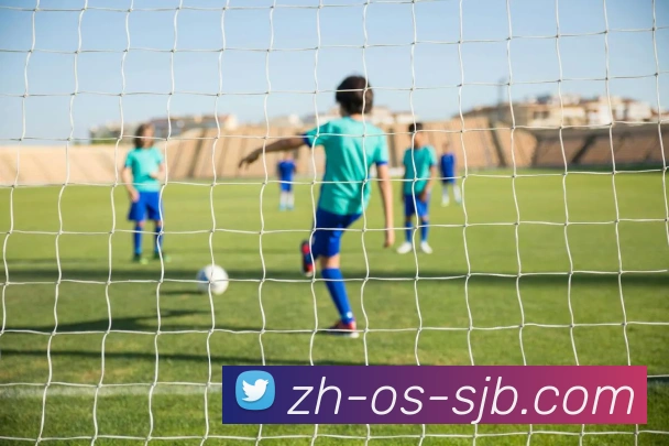 世界杯买球服务体系