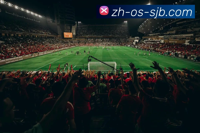 多媒体互动体验